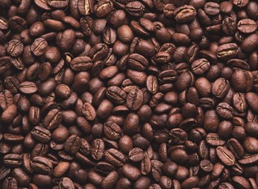 [Brown+Coffee+Beans.jpg]