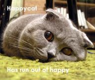 [happy_cat.jpg]