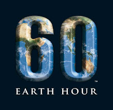 Earth Hour Challenge