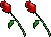 [2+roses.gif]