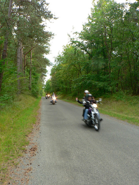 Larchant forêt des motard