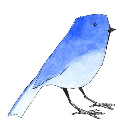 [bluebird.jpg]