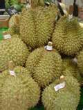 [durian..jpg]