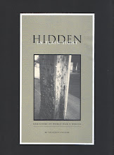 "Hidden In Plain Sight" Test Cover