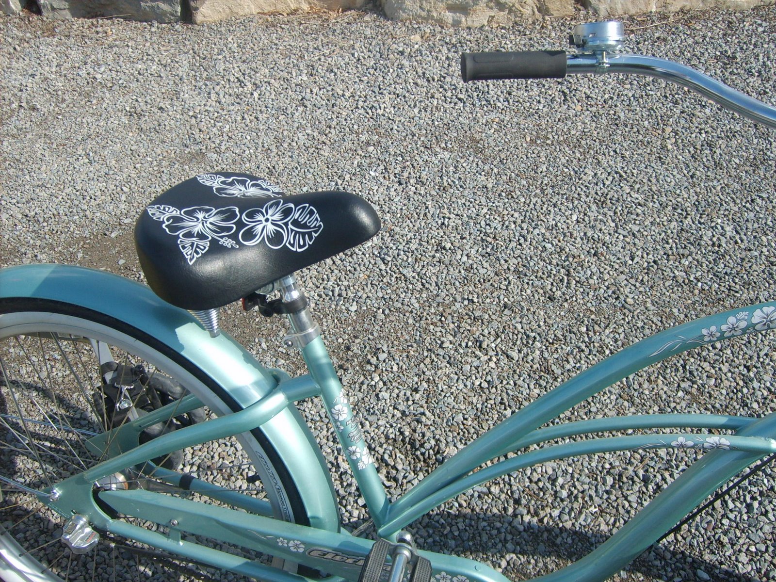 [my+bike+seat.JPG]
