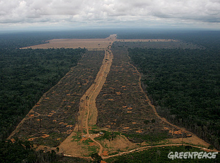 [Amazonia+-+Greenpeace.jpg]