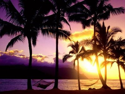 [1213561983_an-afternoon-in-paradise-kauai-hawaii.jpg]