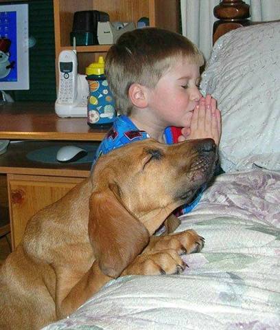 [Boy+and+Dog+Praying+Together.jpg]