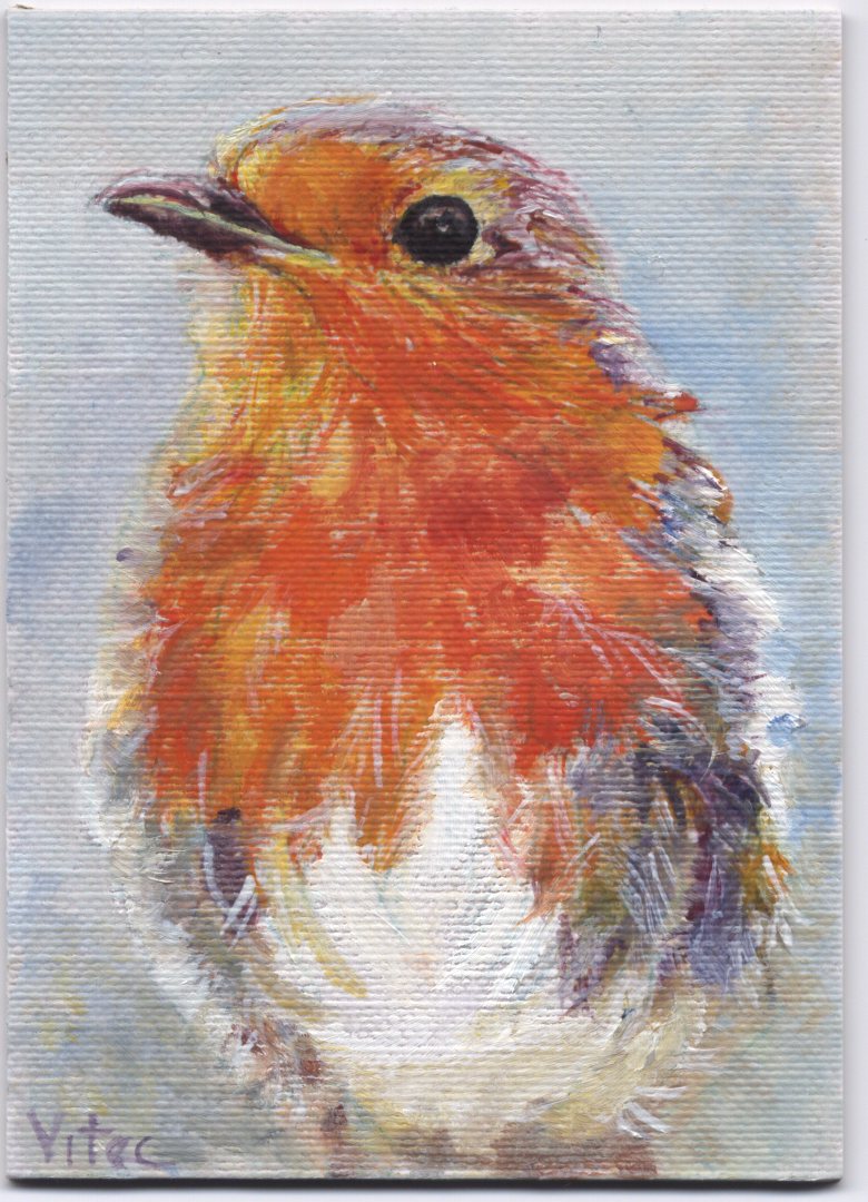 [bird+24+robin+portrait.jpg]