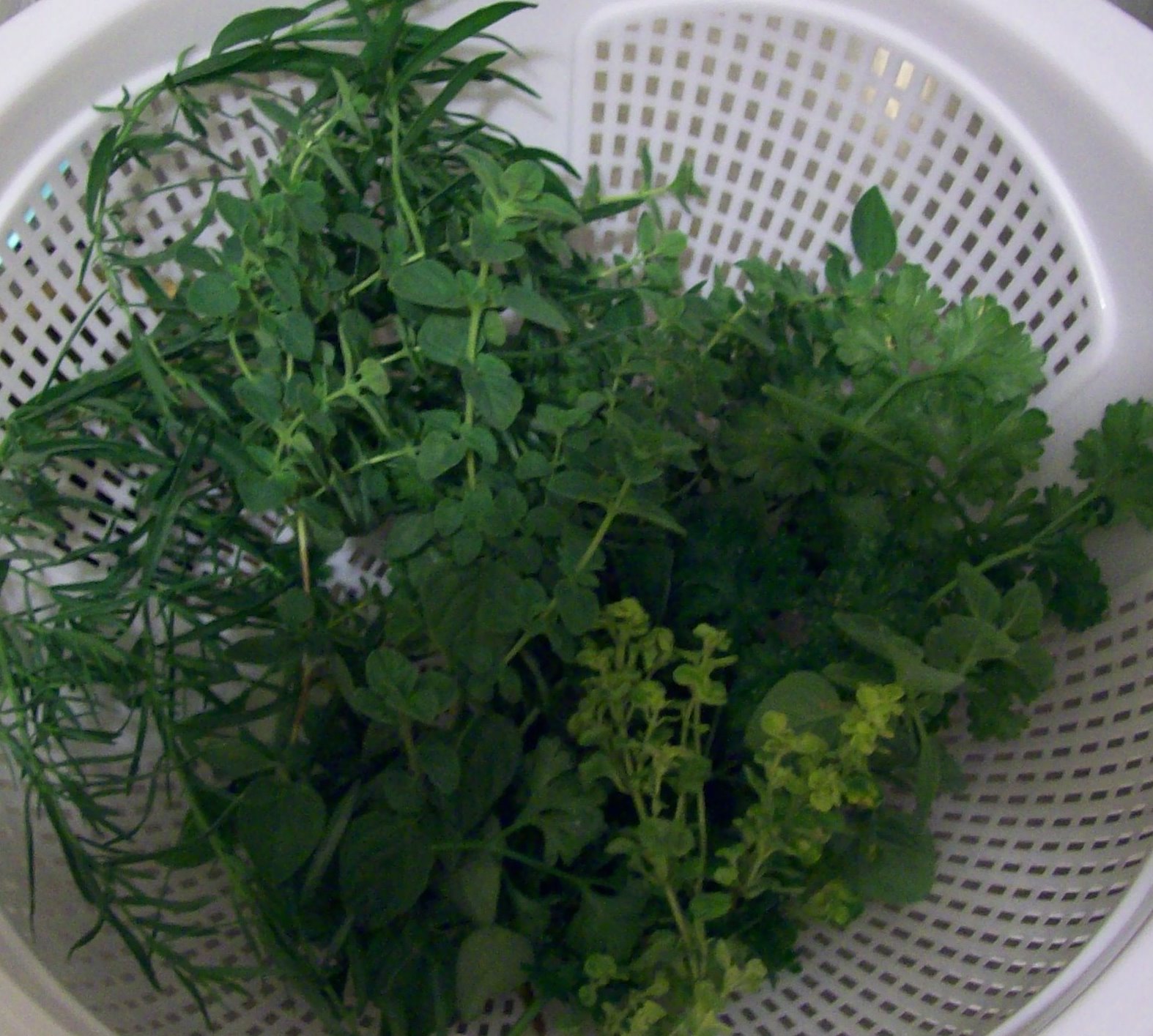 [herb+harvest+July+20.jpg]