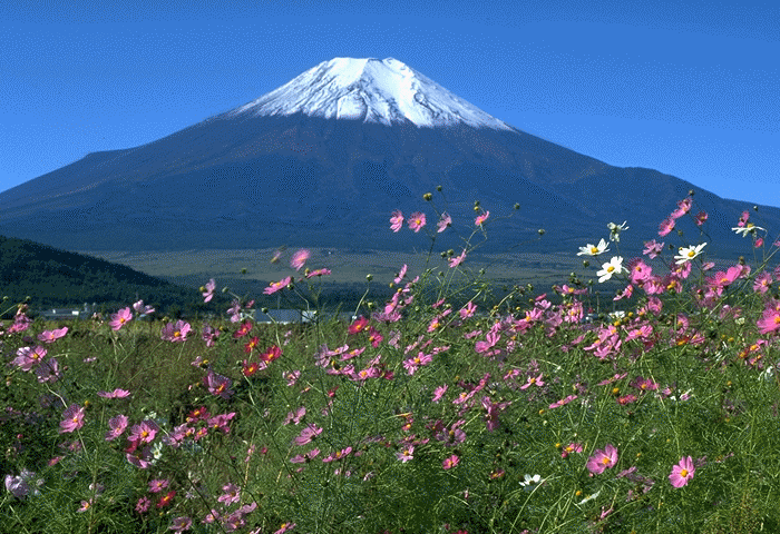 [Mount+Fuji.gif]