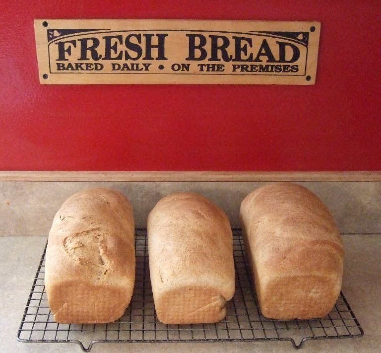 [3-6+bread+picture.jpg]