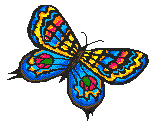 [butterfly2.gif]