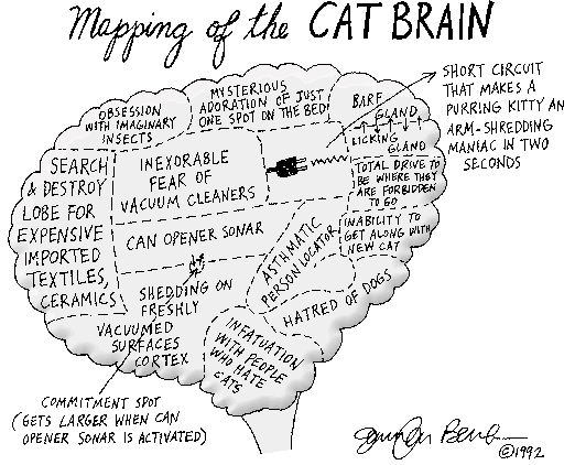 [brainmap.gif]