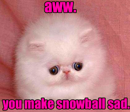 [snowball_sad.jpg]