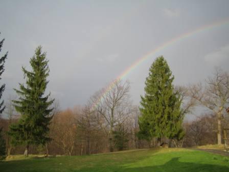 [Rainbow+over+the+front+yard.JPG]