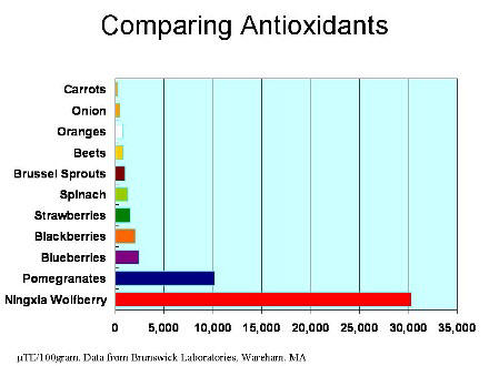 [Ningxia-Food-Antioxidants-graph.jpg]
