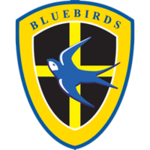 [150px-Cardiff_City_crest.png]