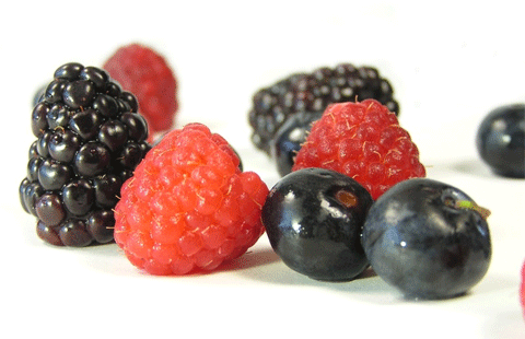 [berries2.gif]