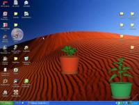 [desktop-plant-719772.jpg]