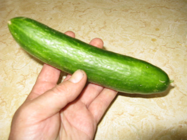 [cucumber.JPG]