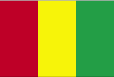 [guinea-conakry-flag.gif]