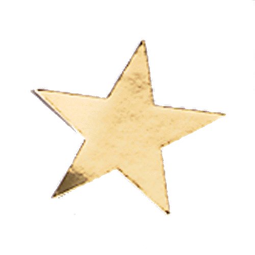 [gold+star.jpg]