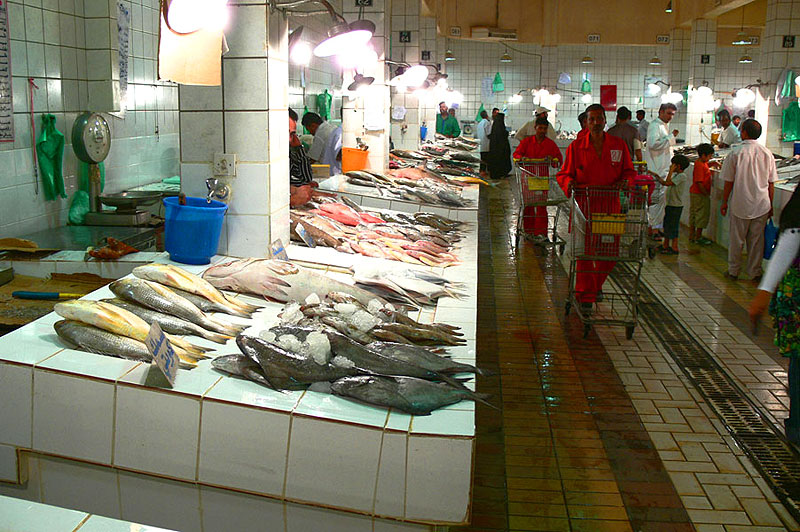 [Fish-Market-5.jpg]