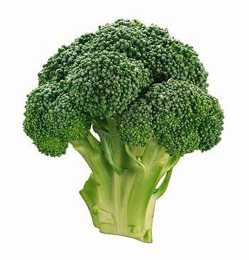 [broccoli.bmp]