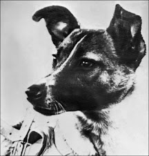 La perra Laika fue hace 50 años el primer terrícola en el espacio