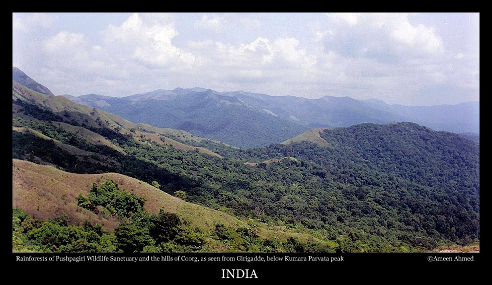 Rainforests of Pushpagiri wildlife sanctuary and hills of Kodagu (Coorg) District as seen from Girigadde below Kumara Parvata peak in Western Ghats