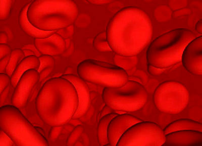 [red+blood+cells1.jpg]