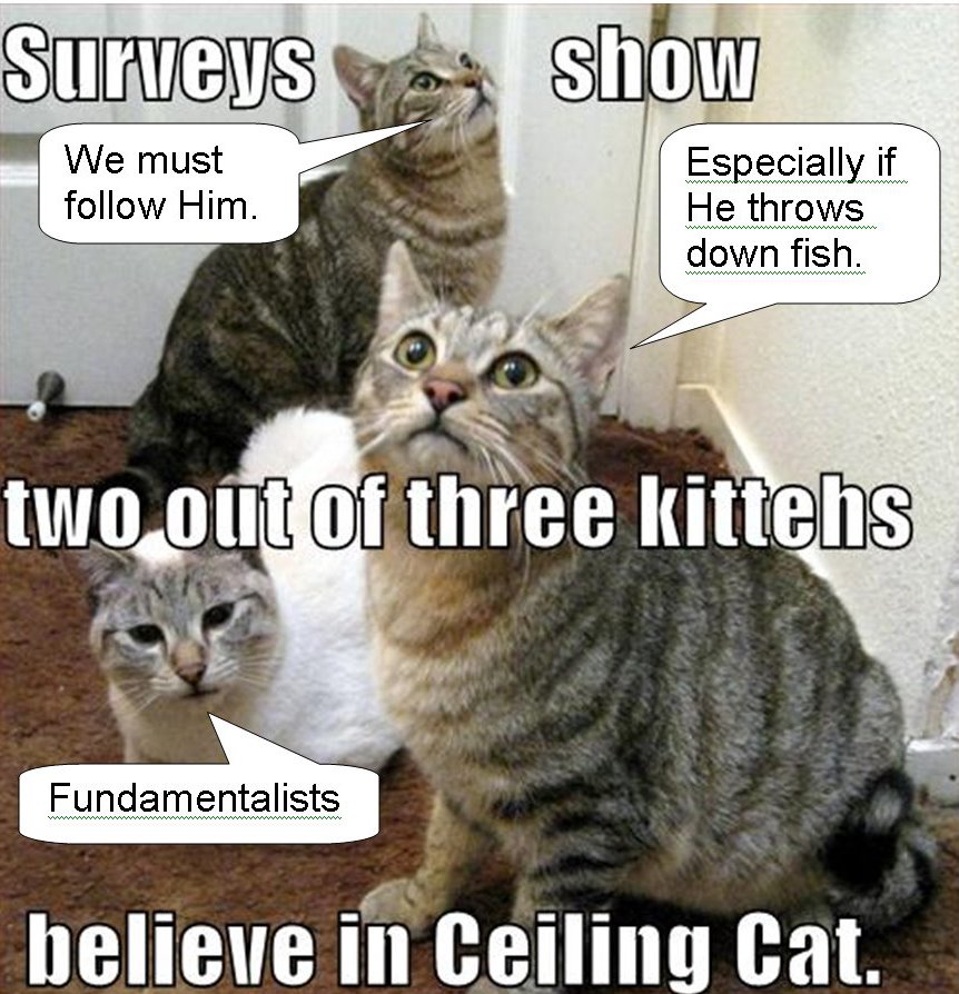 [Ceiling+Cat+02.jpg]