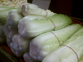 [chinese+cabbage.jpg]
