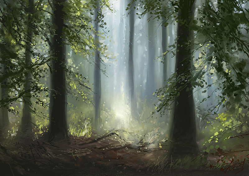 [Forest-Sketch.jpg]