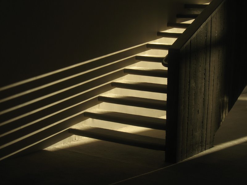 [Seidler_stairs_shadow.jpg]