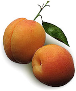 [peaches.jpg]