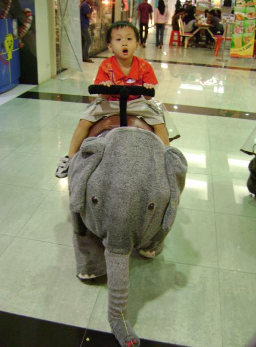 [gajah.JPG]