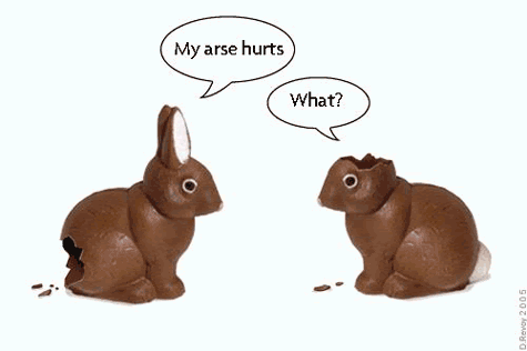 [easter+bunnies.gif]