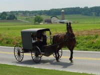 [200px-Lancaster_County_Amish_03.jpg]