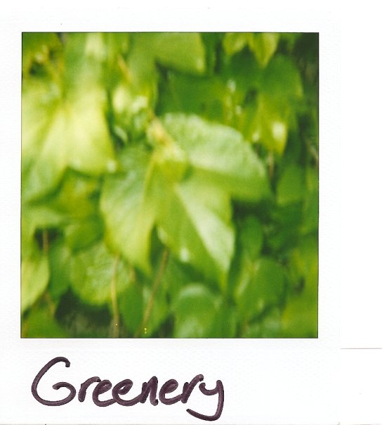 [greenery.jpg]