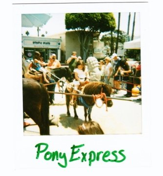 [pony.jpg]