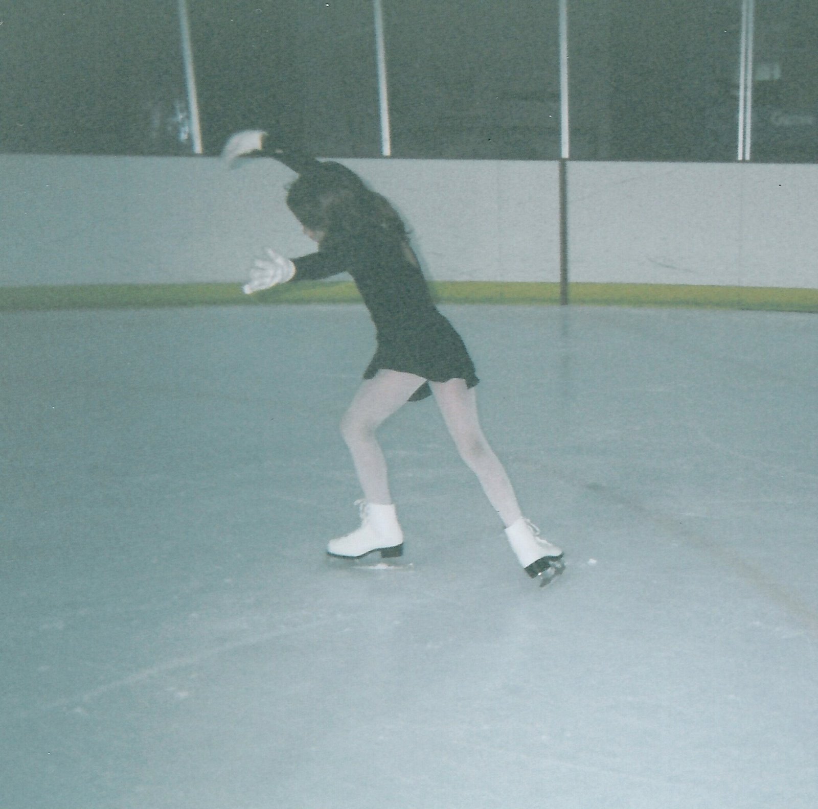 [skating5.jpg]