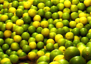 Limes obsession