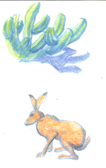 [Rabbit+Cactus+Color.jpg]