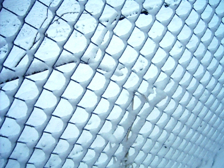 [fence.JPG]