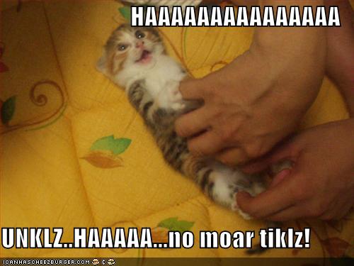 [funny-pictures-kitten-tickled-on-bed.jpg]