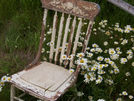 [daisies_chair.JPG]