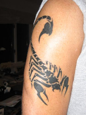 Tags: Animal Tribal Tattoo,