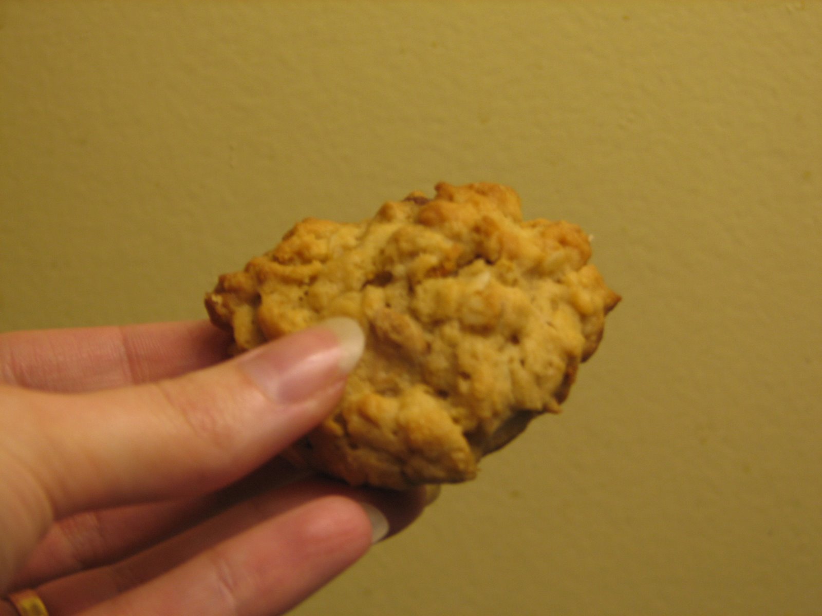 [Peanut+Butter+Oatmeal+Cookie+2.JPG]